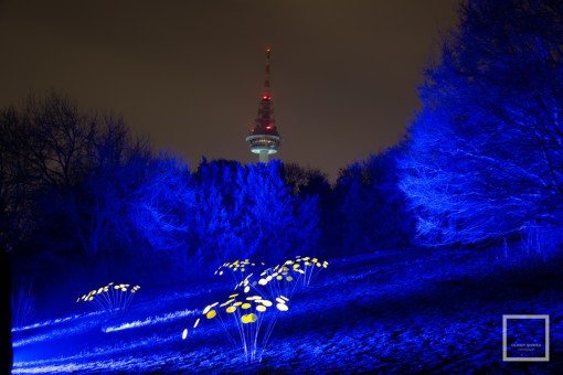 Luisenpark - Winterlichter